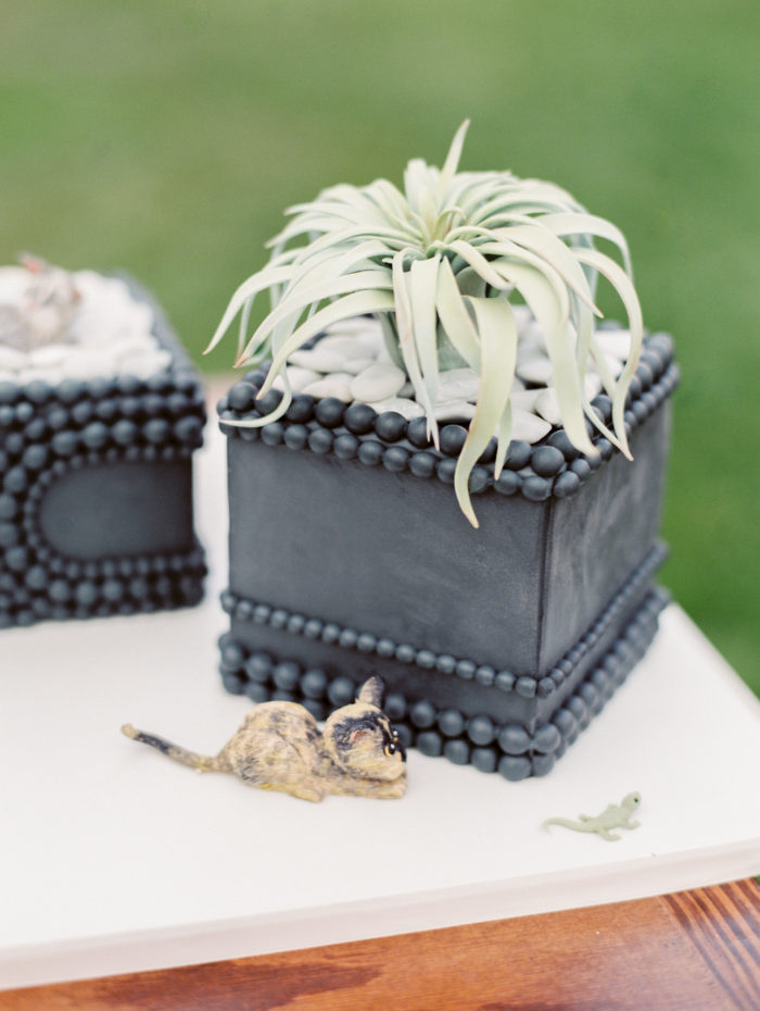 View More: http://rachel-solomon.pass.us/victoria-kyle-vendors